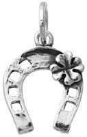 Charm Giovanni Raspini Donna in Argento 11076 - 11076
